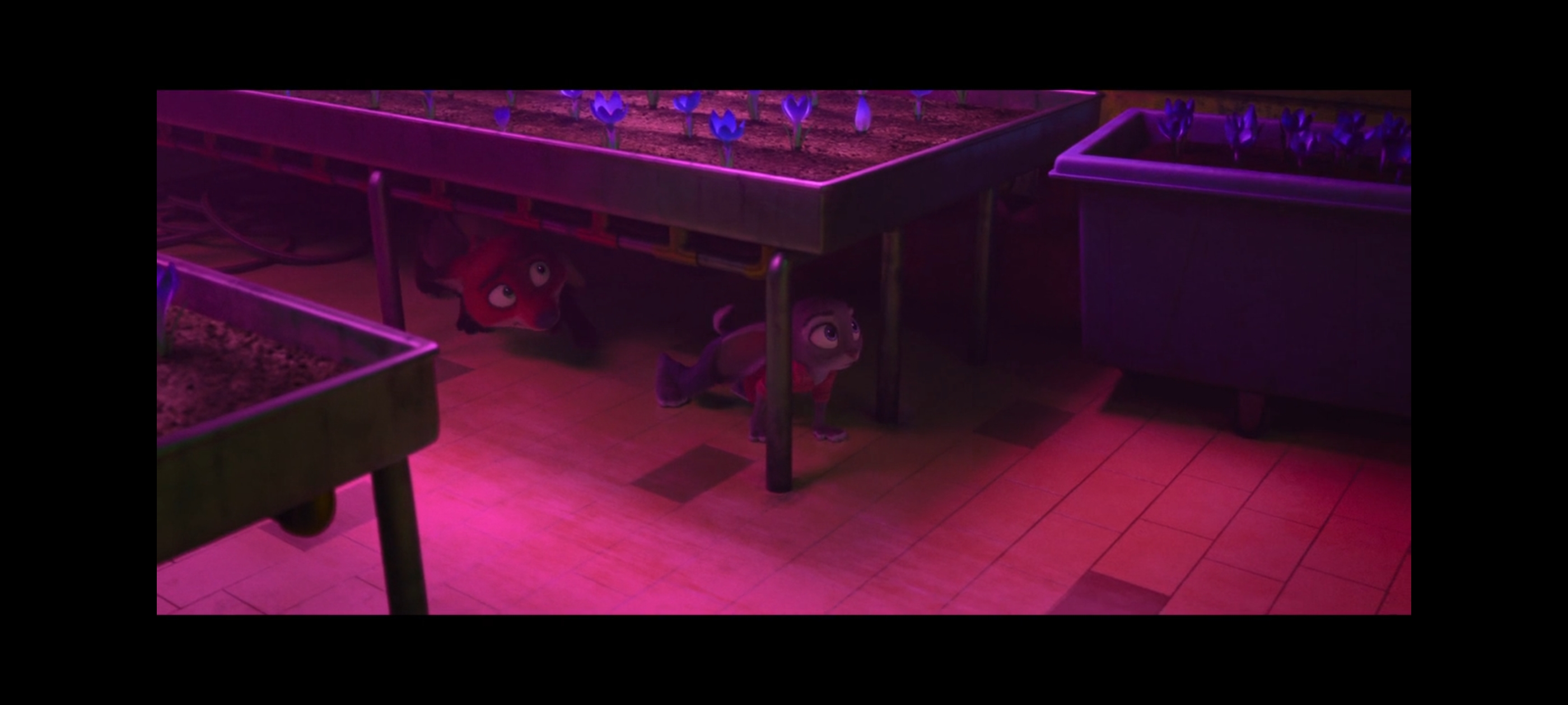 疯狂动物城,动画电影,动漫,动画,电影,二次元,ACG