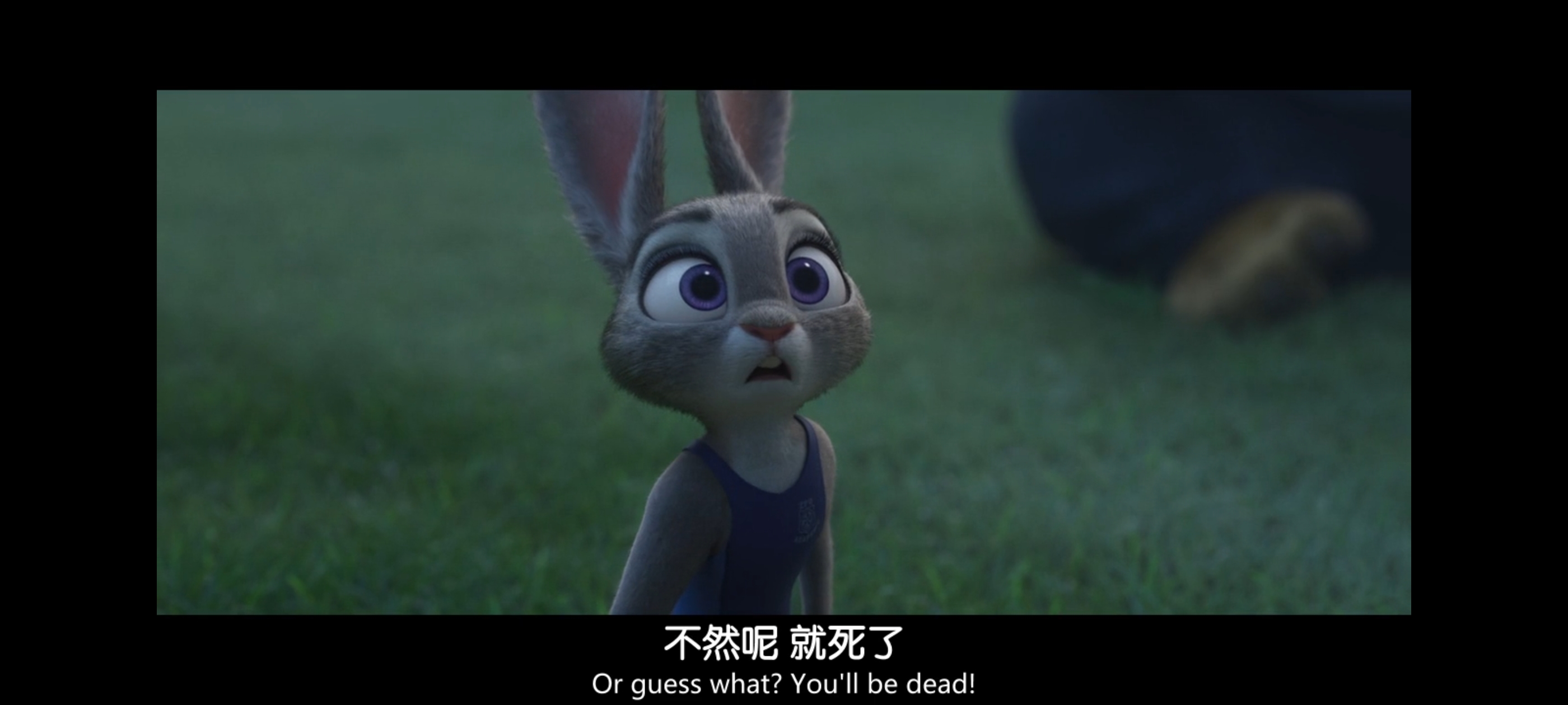 疯狂动物城,动画电影,动漫,动画,电影,二次元,ACG