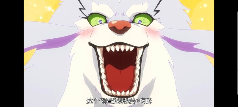 网购技能开启异世界美食之旅,拥有超常技能的异世界流浪美食家,动画,动漫,番剧,ACG