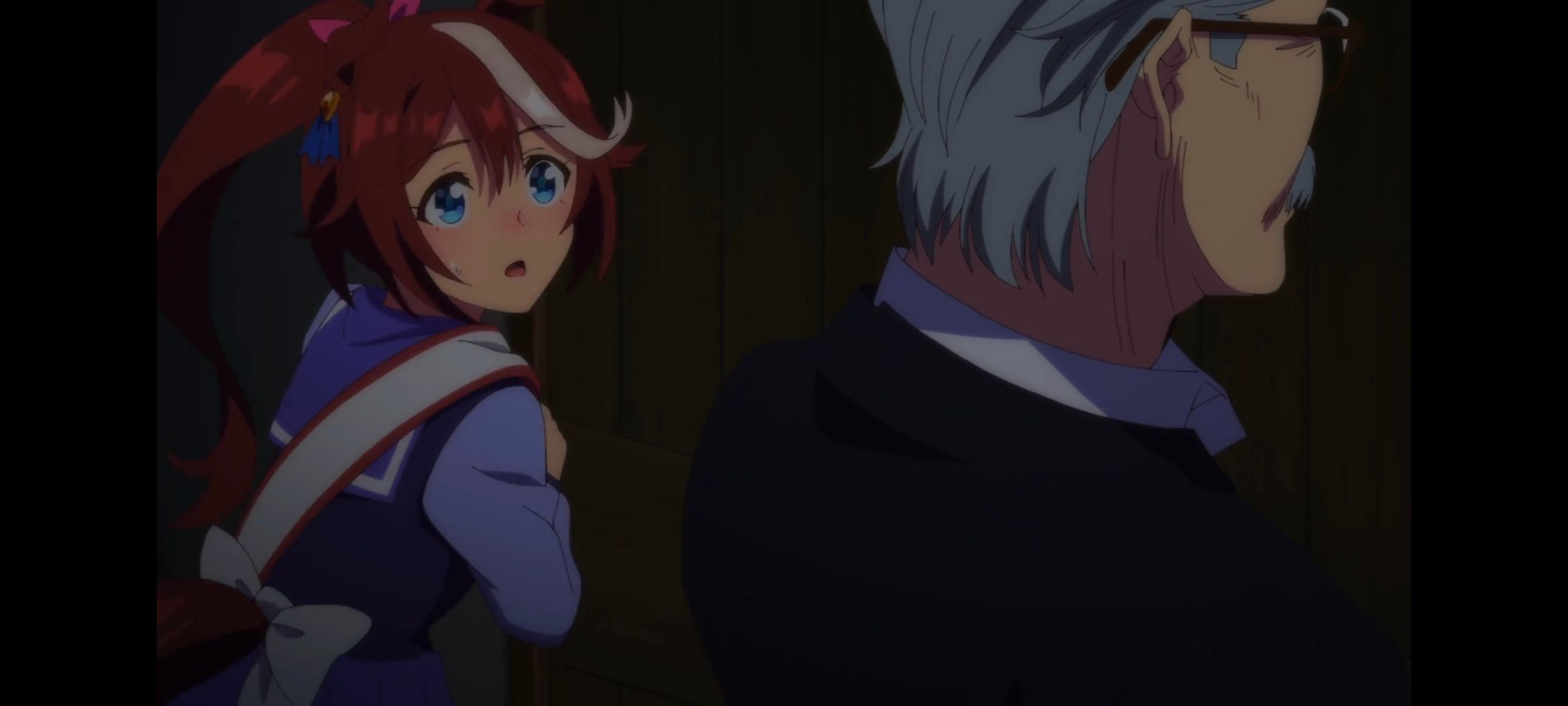 赛马娘,赛马娘PrettyDreby,动画,动漫,番剧,ACG