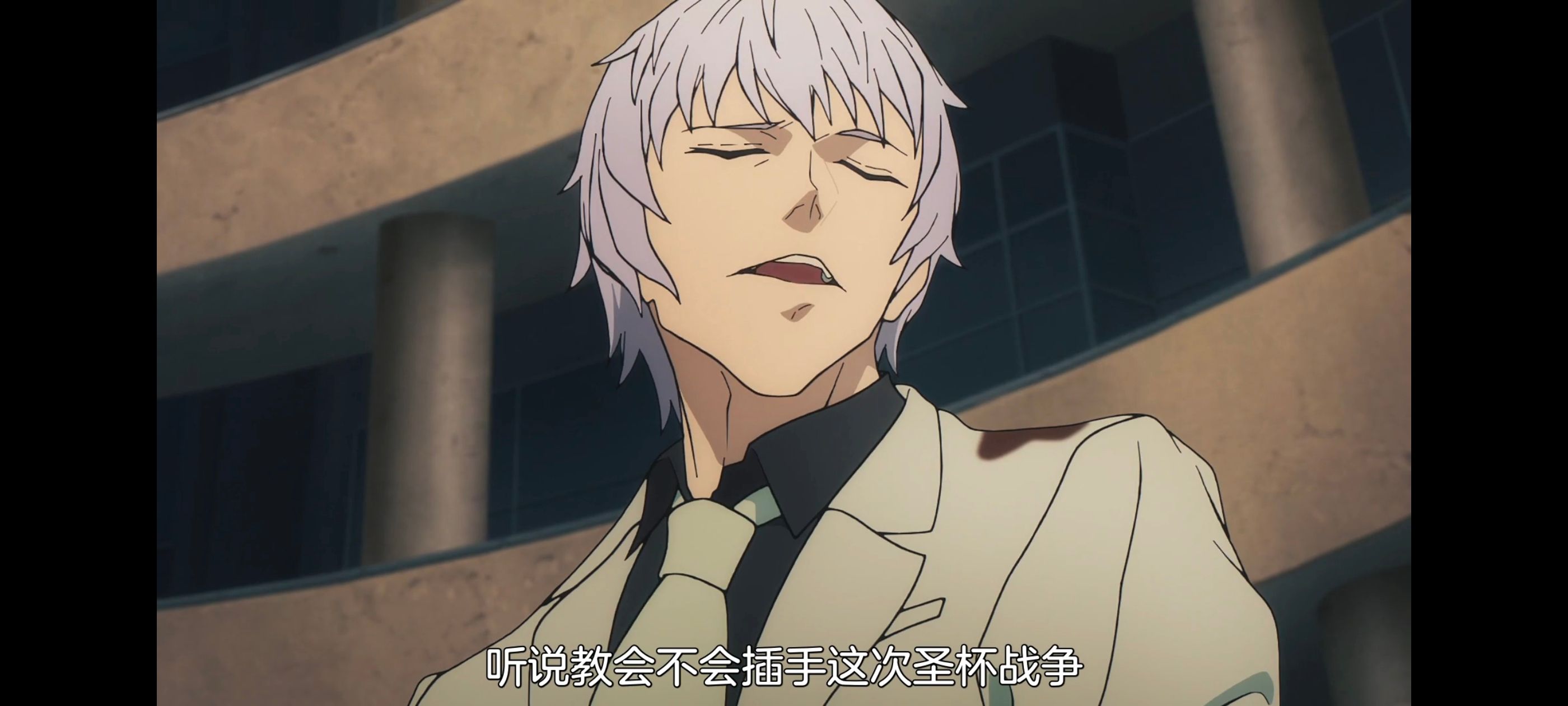 命运奇异赝品,FatestrangeFake,动画,动漫,番剧,ACG