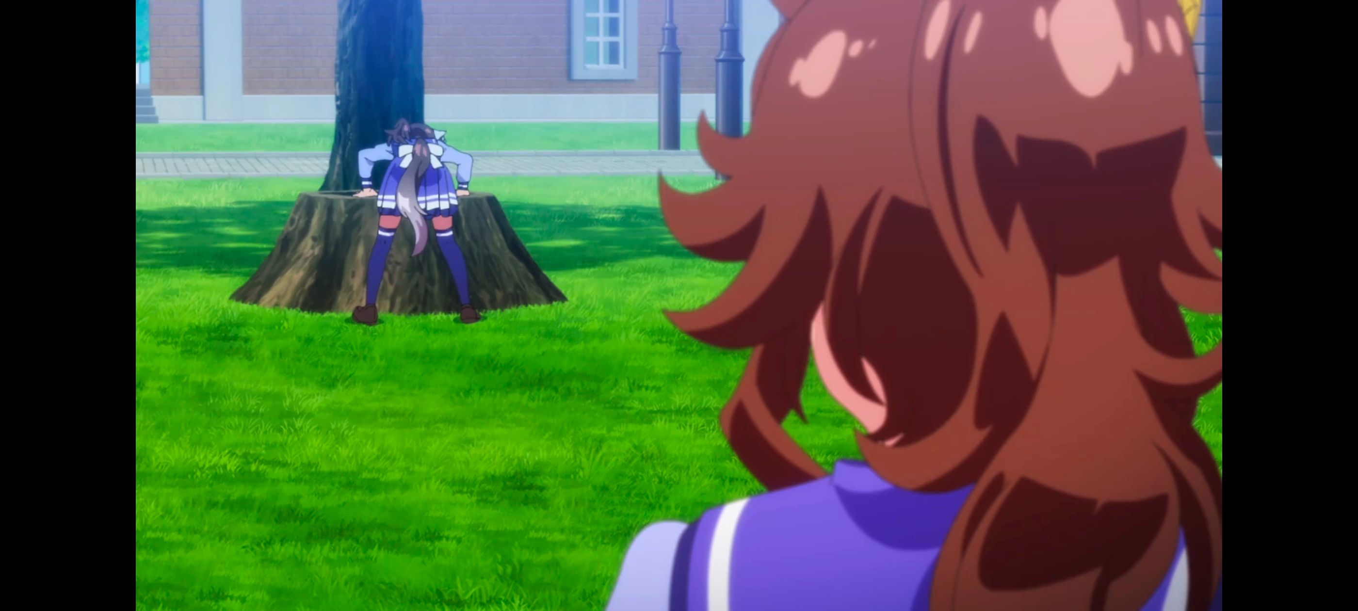 赛马娘,赛马娘PrettyDreby,赛马娘第二季,动画,动漫,番剧,ACG