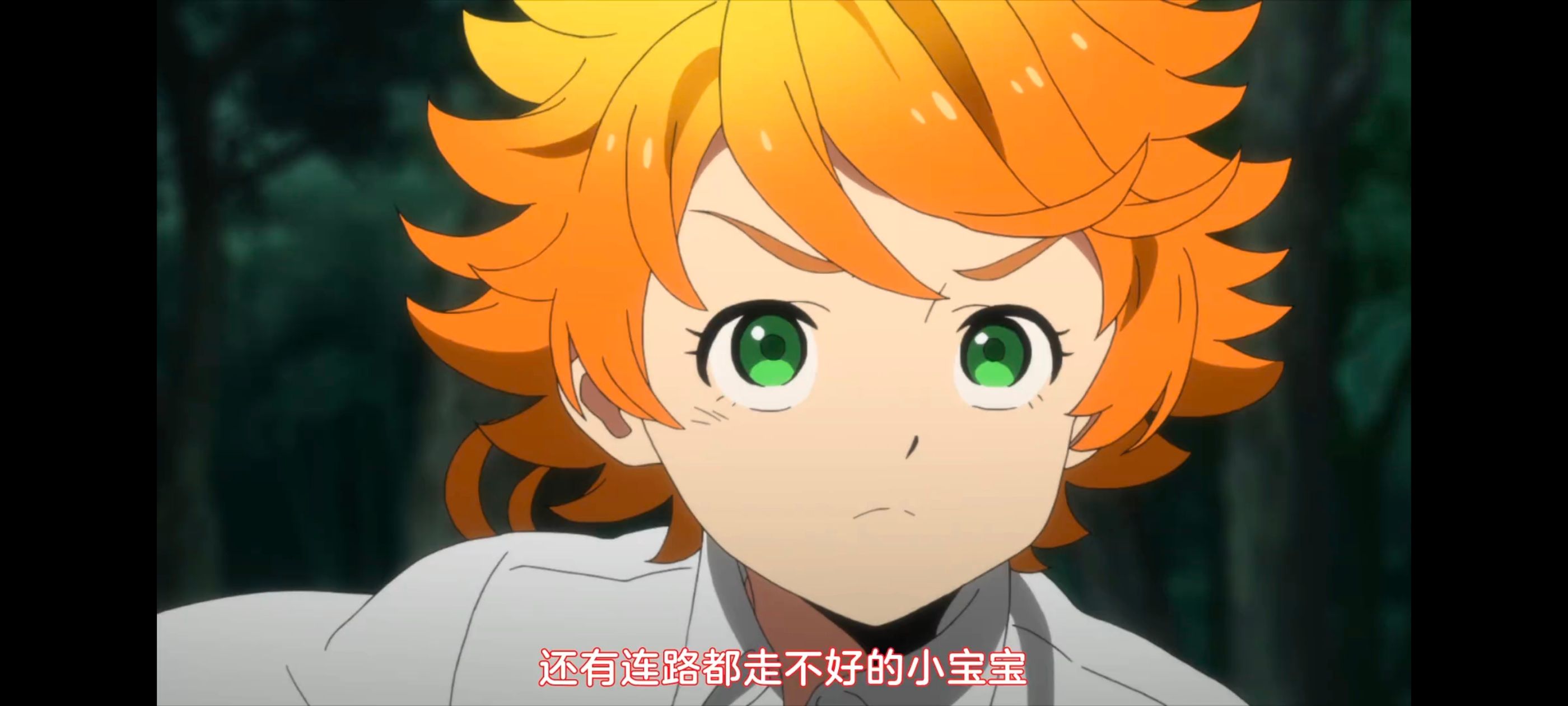 约定的梦幻岛,动画,动漫,番剧,ACG