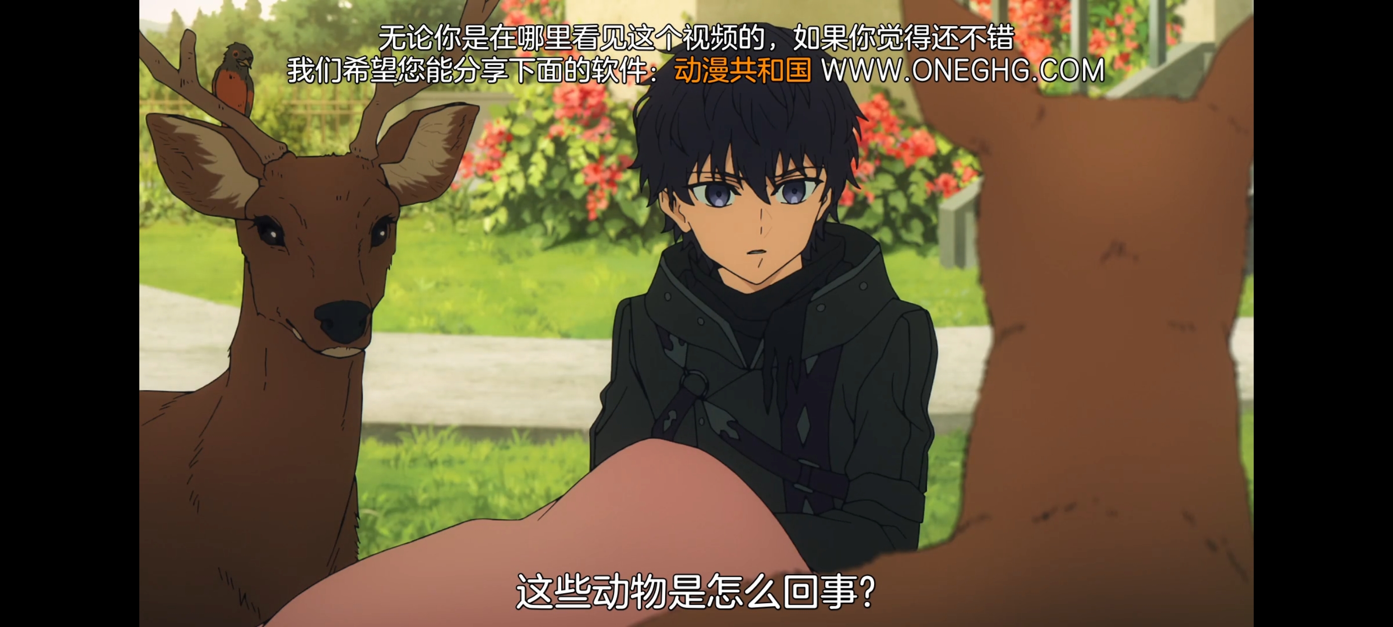 命运奇异赝品,FATE,FatestrangeFake,动画,动漫,番剧,二次元,ACG