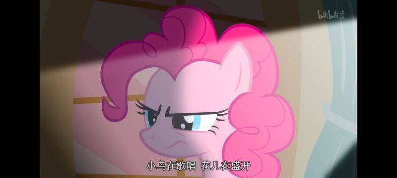 小马宝莉,小马宝莉友谊魔法,彩虹小马,我的小马驹,动画,动漫,番剧,ACG