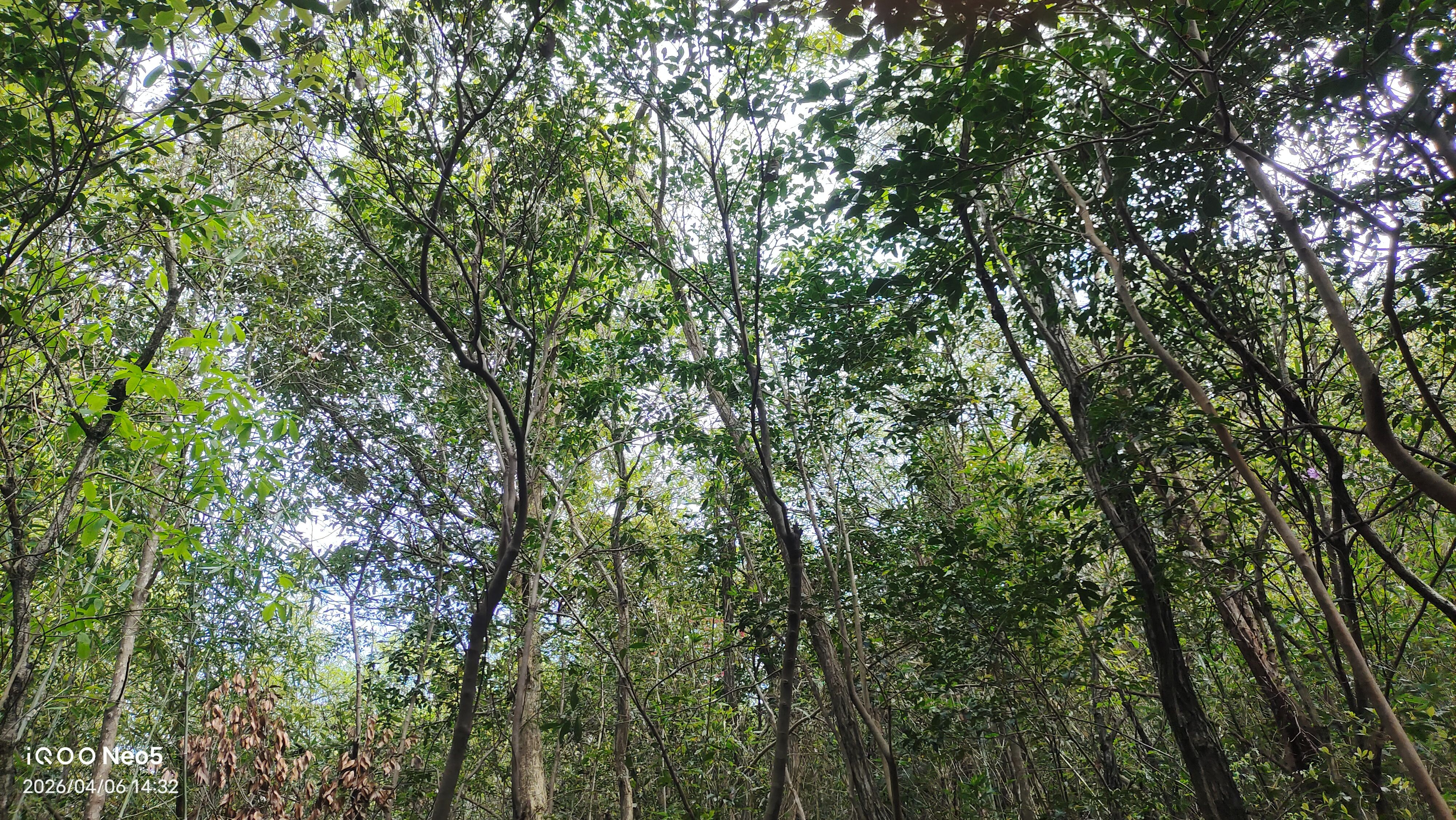 跑山,旅行,假期,生活,湖州