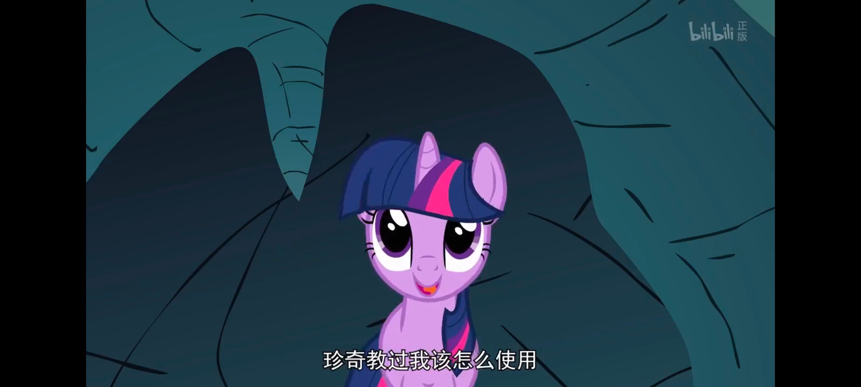 彩虹小马,小马宝莉,我的小马驹,小马宝莉友谊魔法,动画,动漫,番剧,ACG