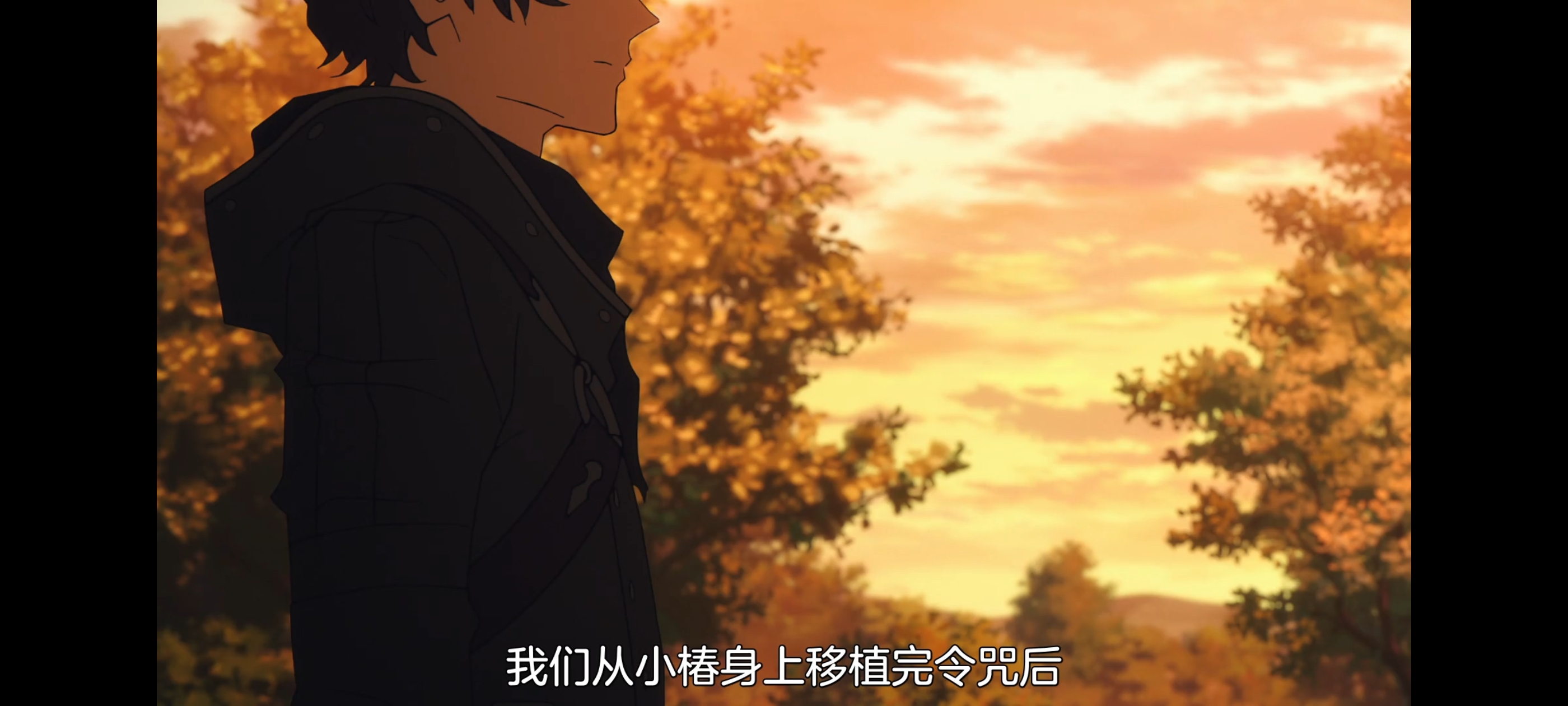 FATE,命运奇异赝品,FatestrangeFake,动画,动漫,番剧,二次元,ACG