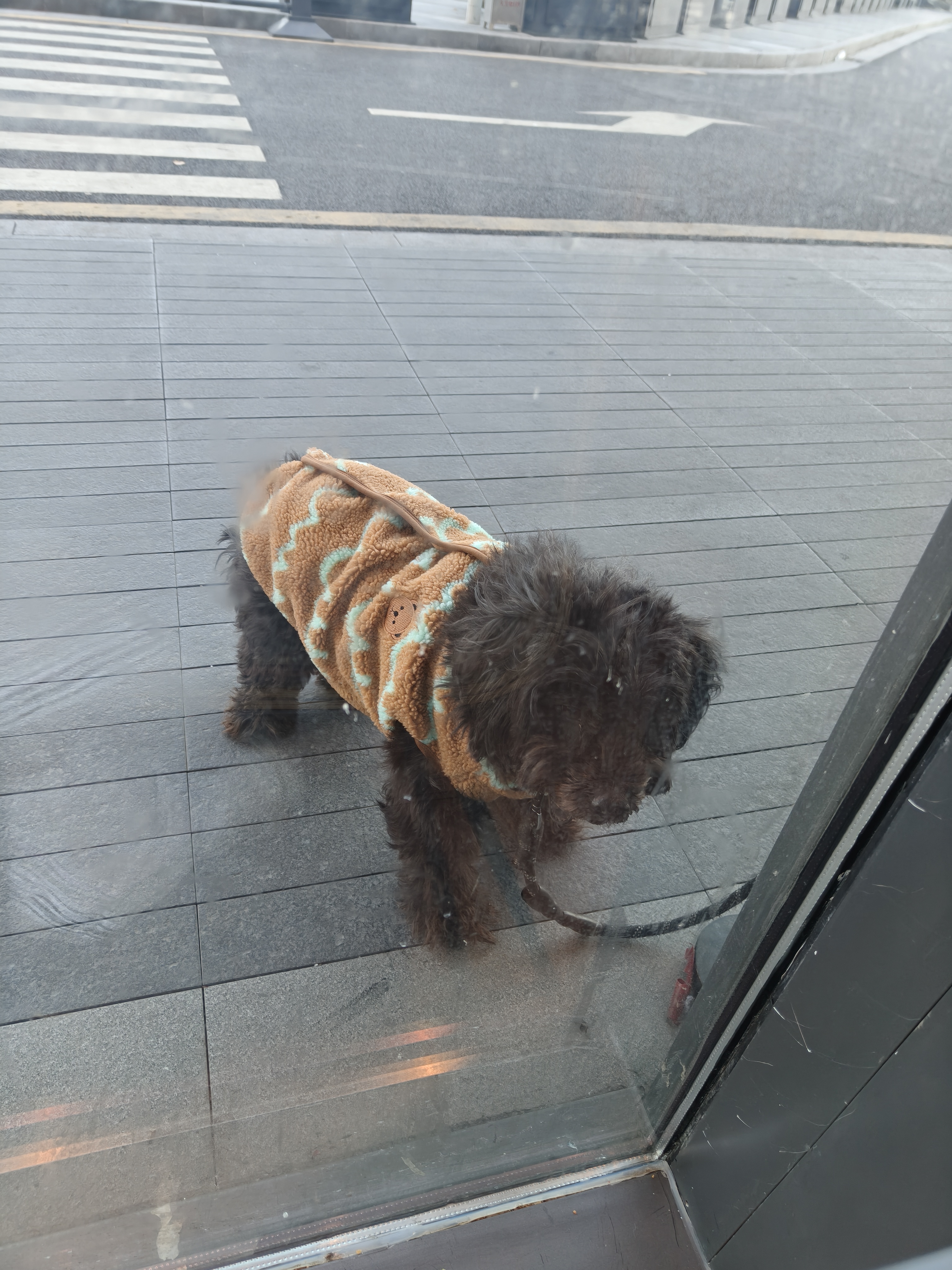 游玩,出游,逛街,昆山