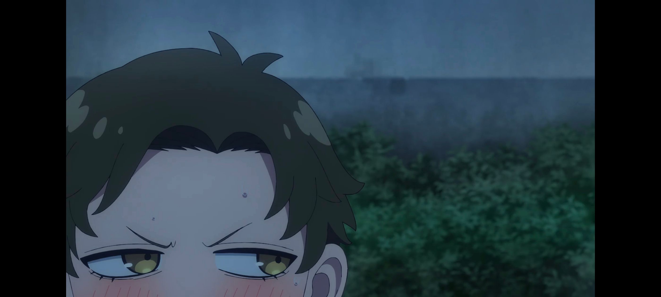 间谍过家家,SPYFAMILY,动画,动漫,番剧,ACG