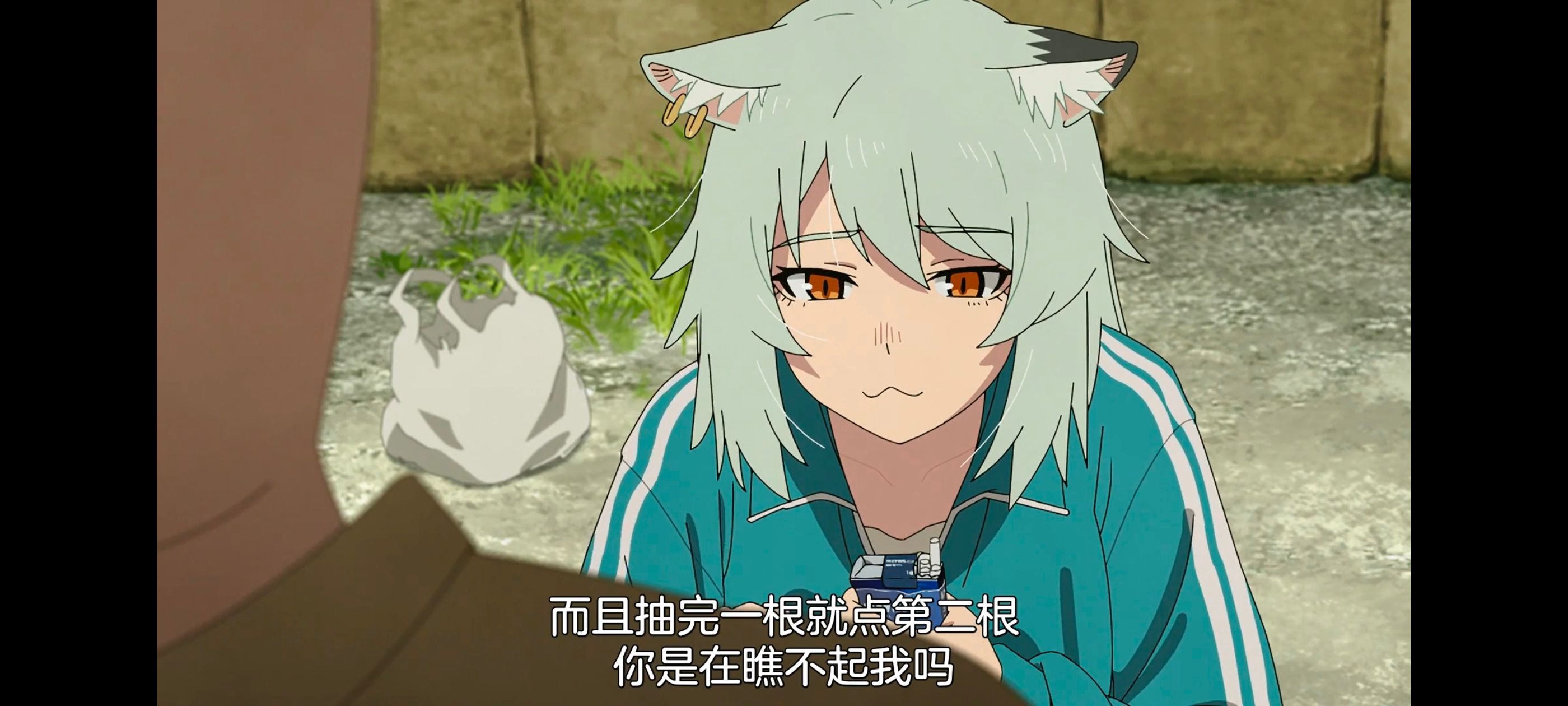 雅尼猫,尼古喵喵,动画,动漫,番剧,日漫,二次元,ACG