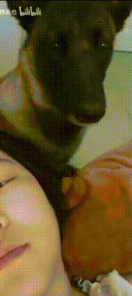 梗图,meme,动图,GIF,亓才孑