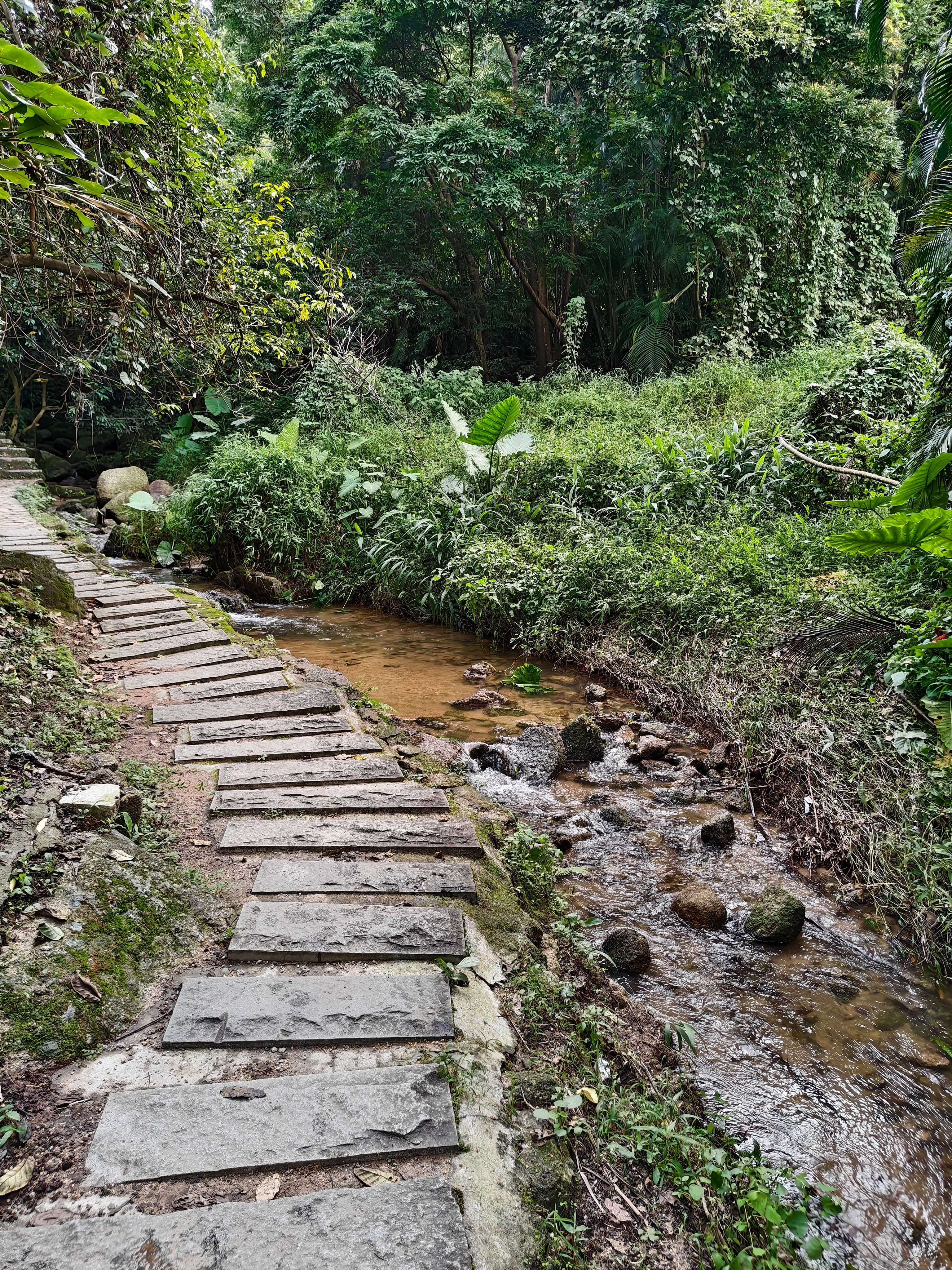 登山,阳台山,羊台叠翠