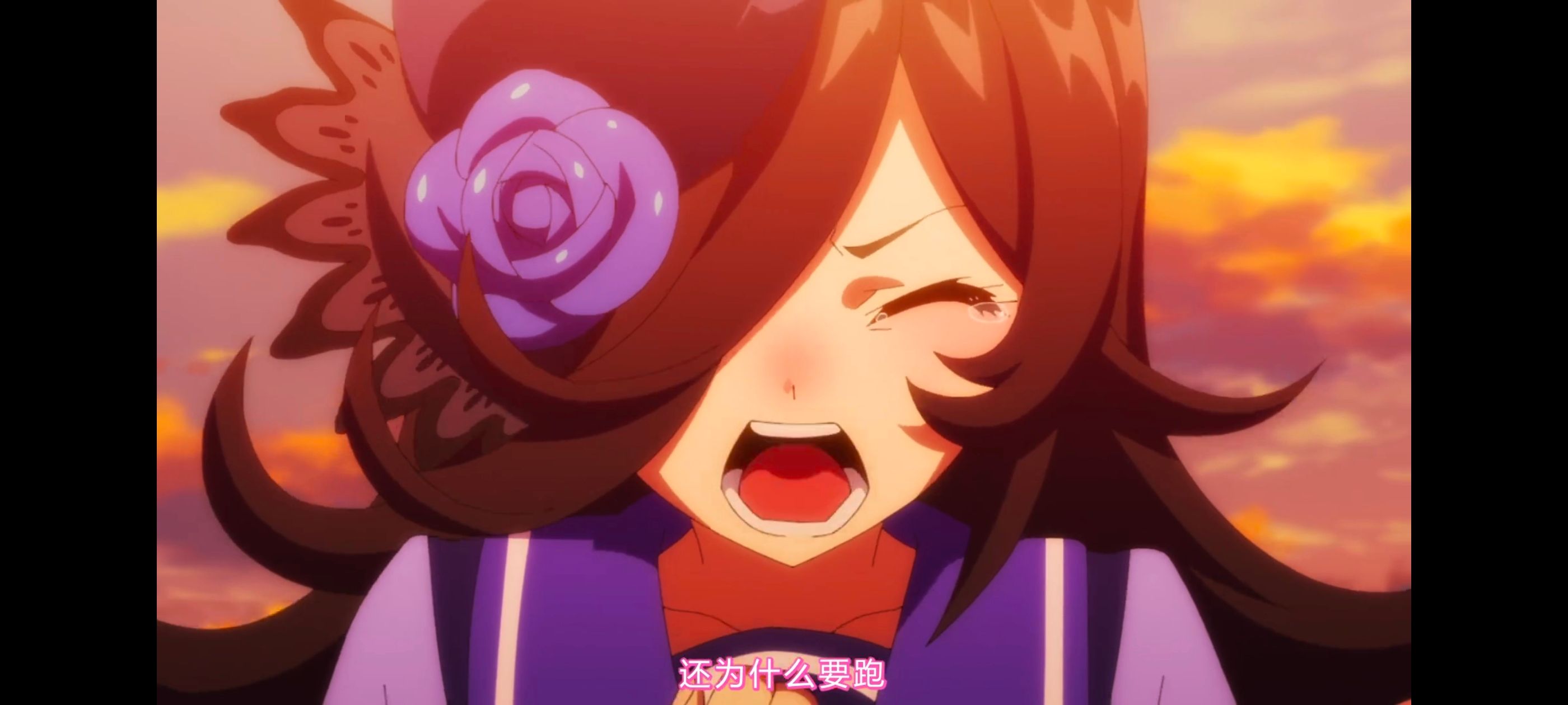 赛马娘,赛马娘第二季,动画,动漫,番剧,二次元,ACG,赛马娘PrettyDerby