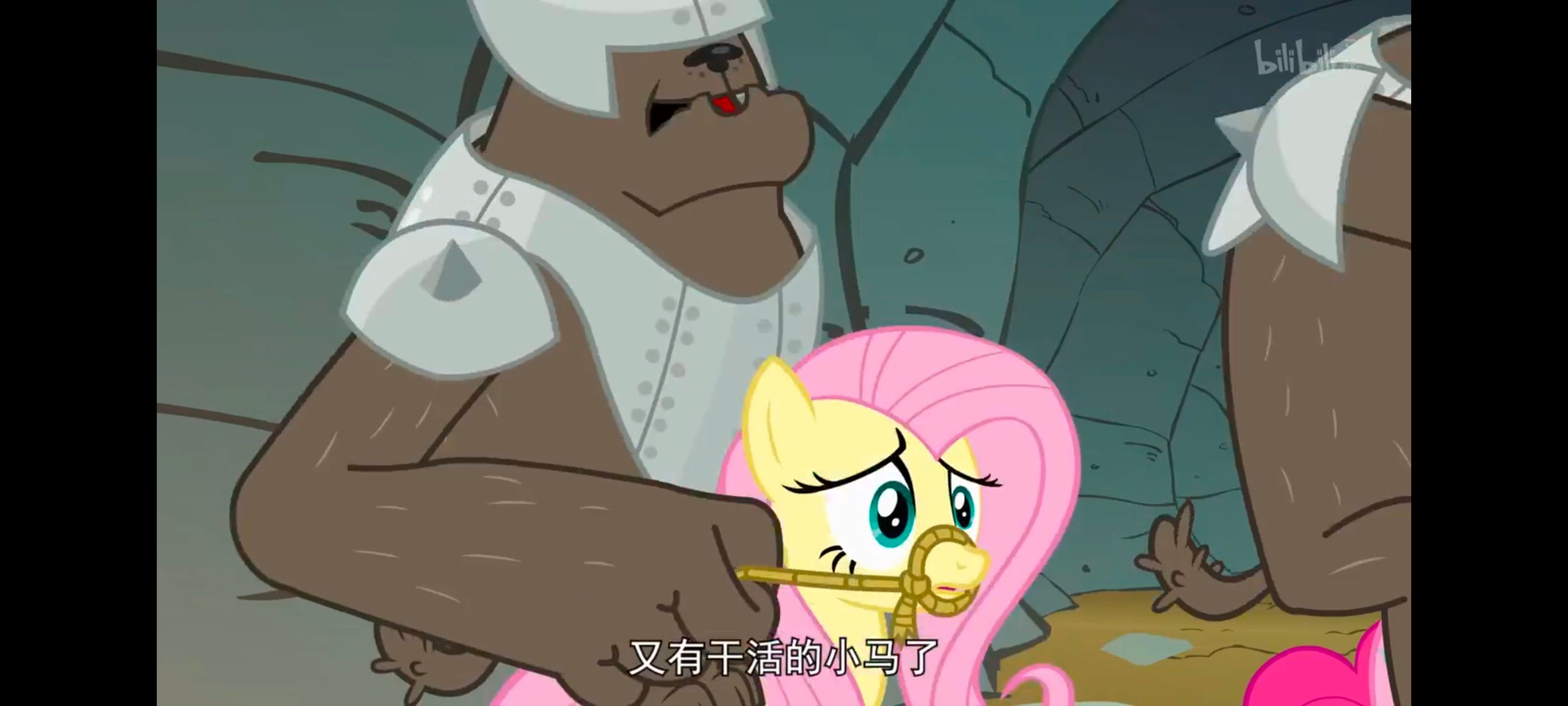 彩虹小马,小马宝莉,我的小马驹,小马宝莉友谊魔法,动画,动漫,番剧,ACG