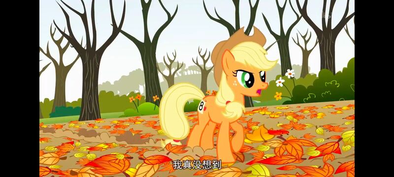 小马宝莉,小马宝莉友谊魔法,彩虹小马,我的小马驹,动画,动漫,番剧,ACG