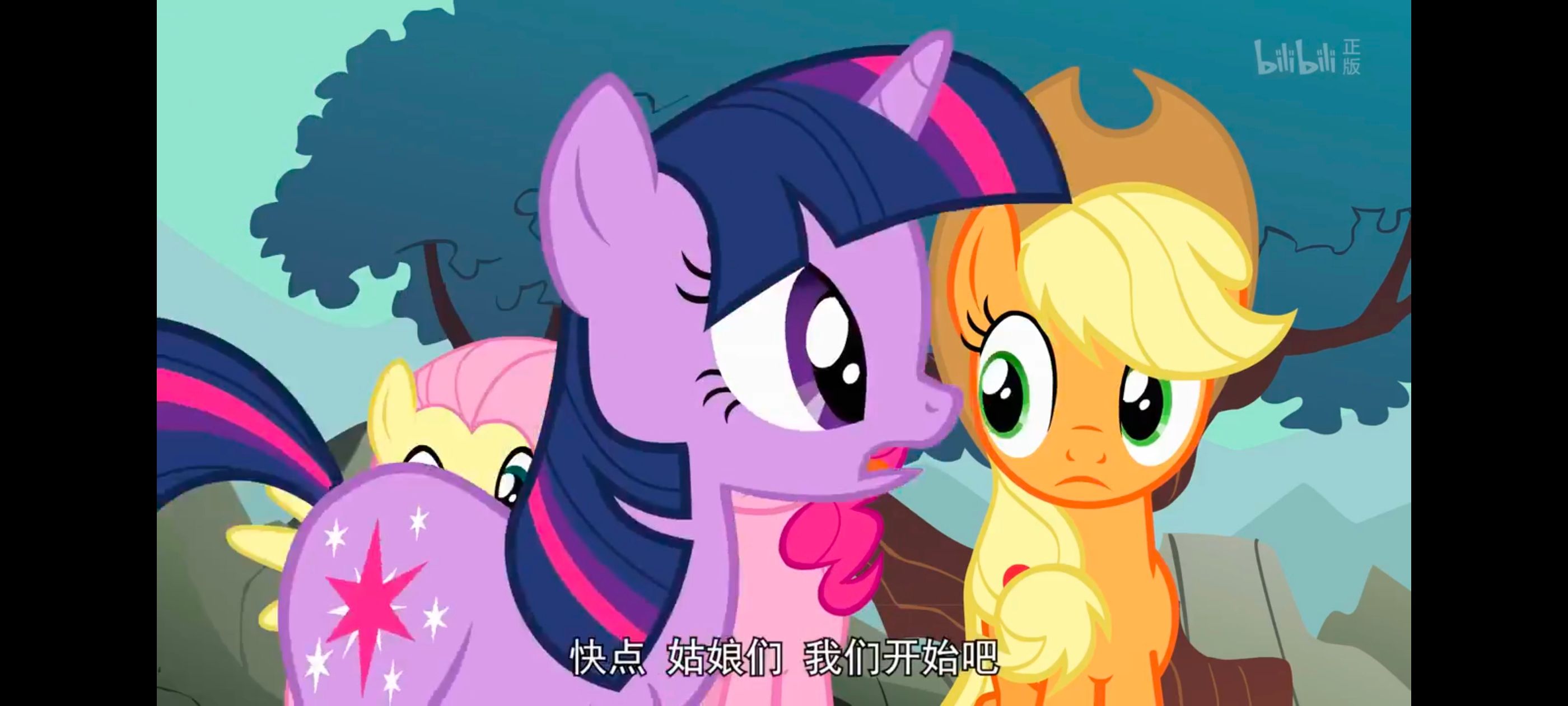 彩虹小马,小马宝莉,我的小马驹,小马宝莉友谊魔法,动画,动漫,番剧,ACG