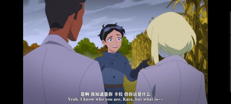 我与超人的冒险,DC,动画,动漫,美漫,超级英雄,番剧,二次元,ACG