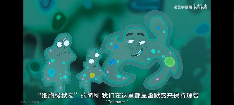 瑞克和莫蒂,瑞克与莫蒂,美漫,动画,动漫,番剧,ACG,欧美动漫