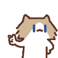 表情包,月薪喵,哈基米,猫meme,猫咪表情包,治愈表情包,温馨表情包