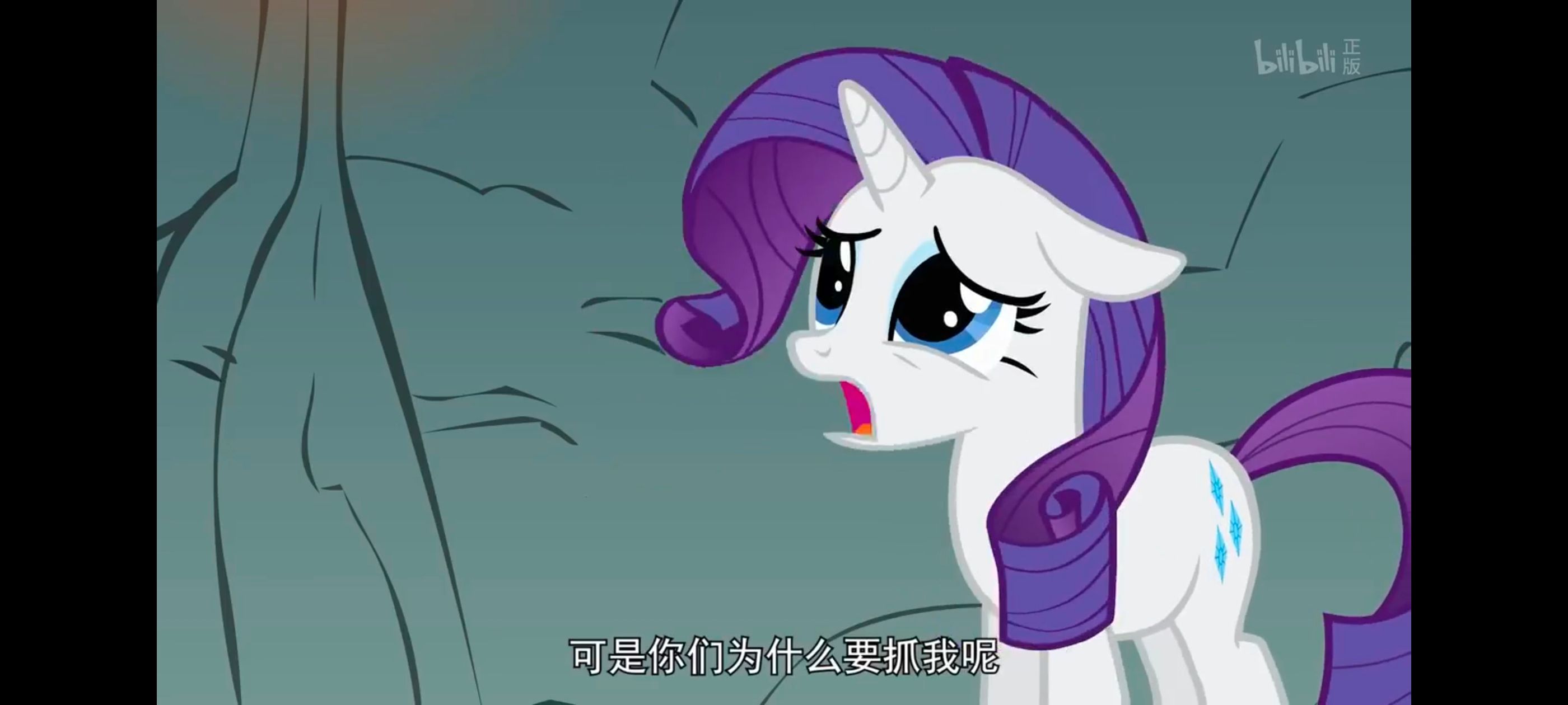 彩虹小马,小马宝莉,我的小马驹,小马宝莉友谊魔法,动画,动漫,番剧,ACG