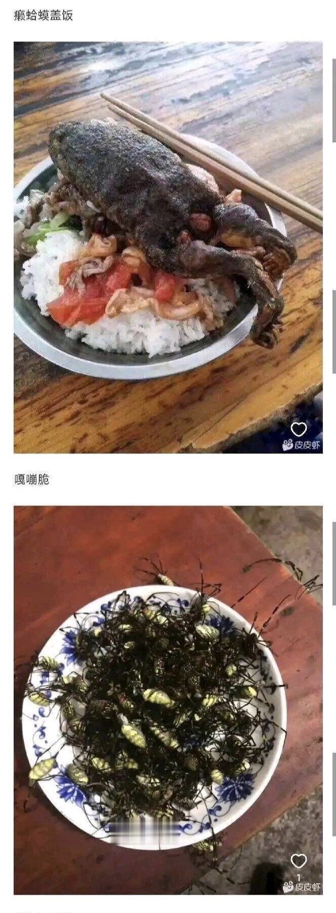 四菜一汤,饭菜,黑暗料理