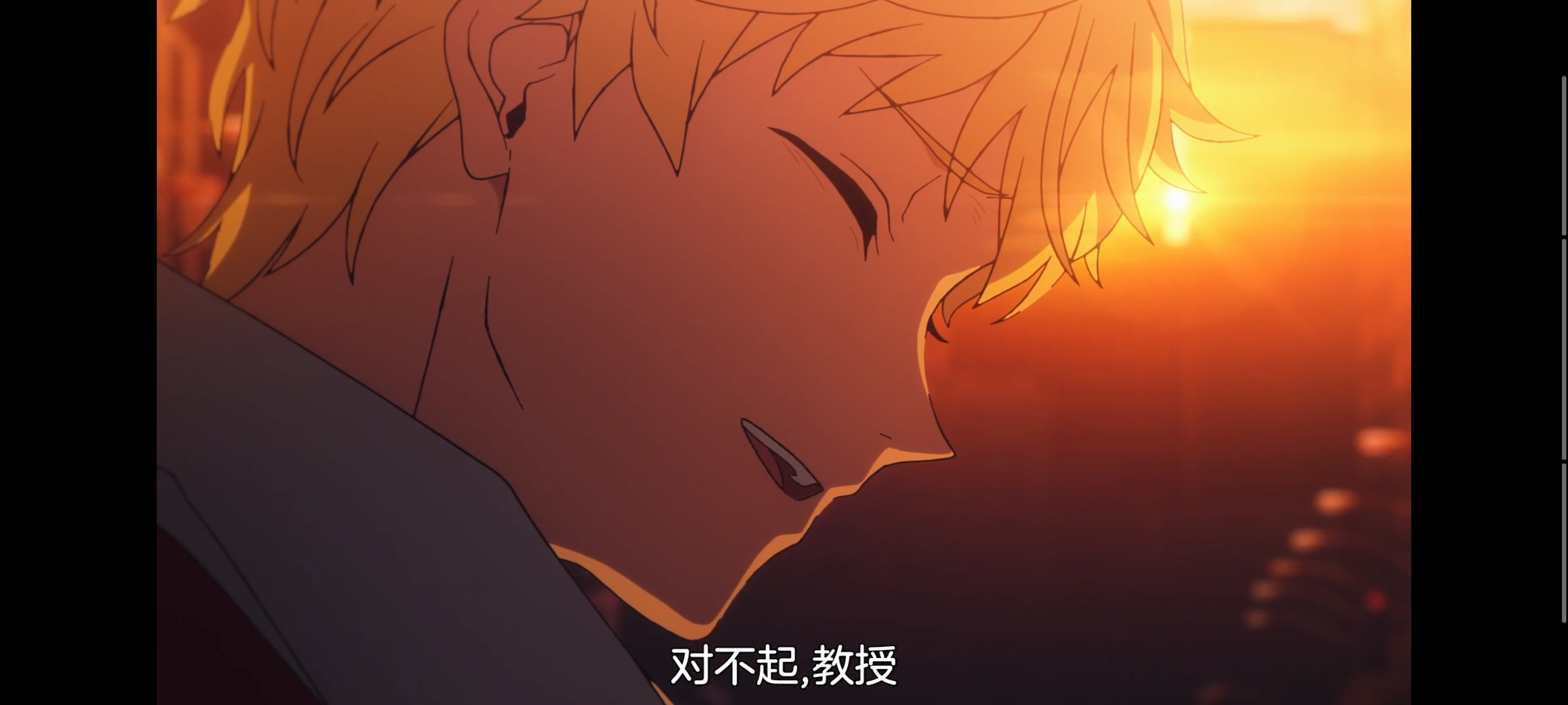 FATE,命运奇异赝品,FatestrangeFake,动画,动漫,番剧,二次元,ACG