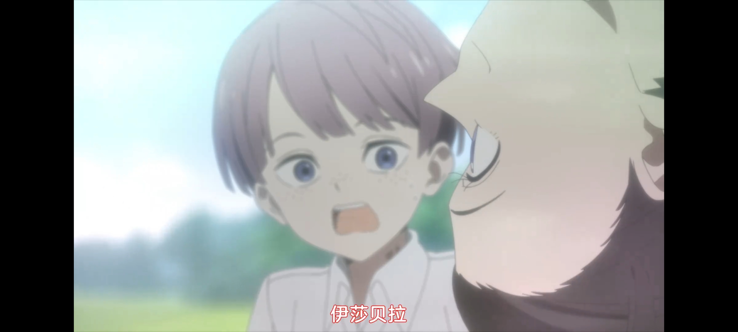 约定的梦幻岛,动画,动漫,番剧,二次元,ACG