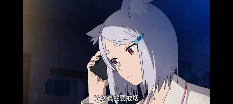 雅尼猫,尼古喵喵,动画,动漫,番剧,二次元,日漫,ACG