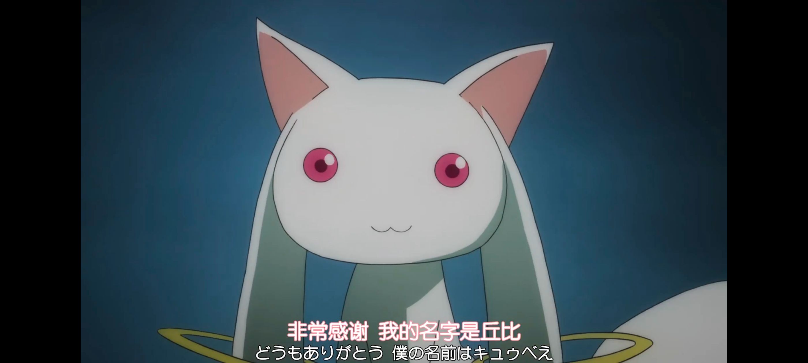 魔法少女小圆,魔法少女,动漫,动画,番剧,ACG