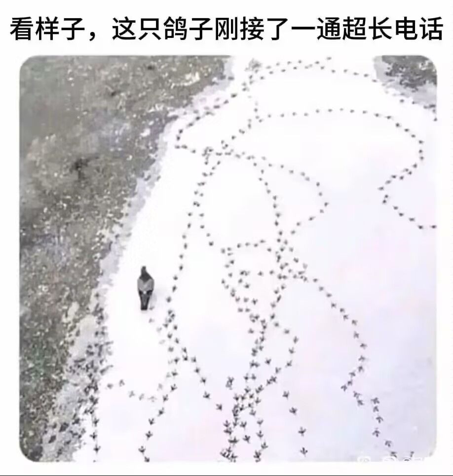 /static/d709db6ba527157a70748301ae4753a2931fa3389286a1c5fb32861a7a6f7518.jpg
