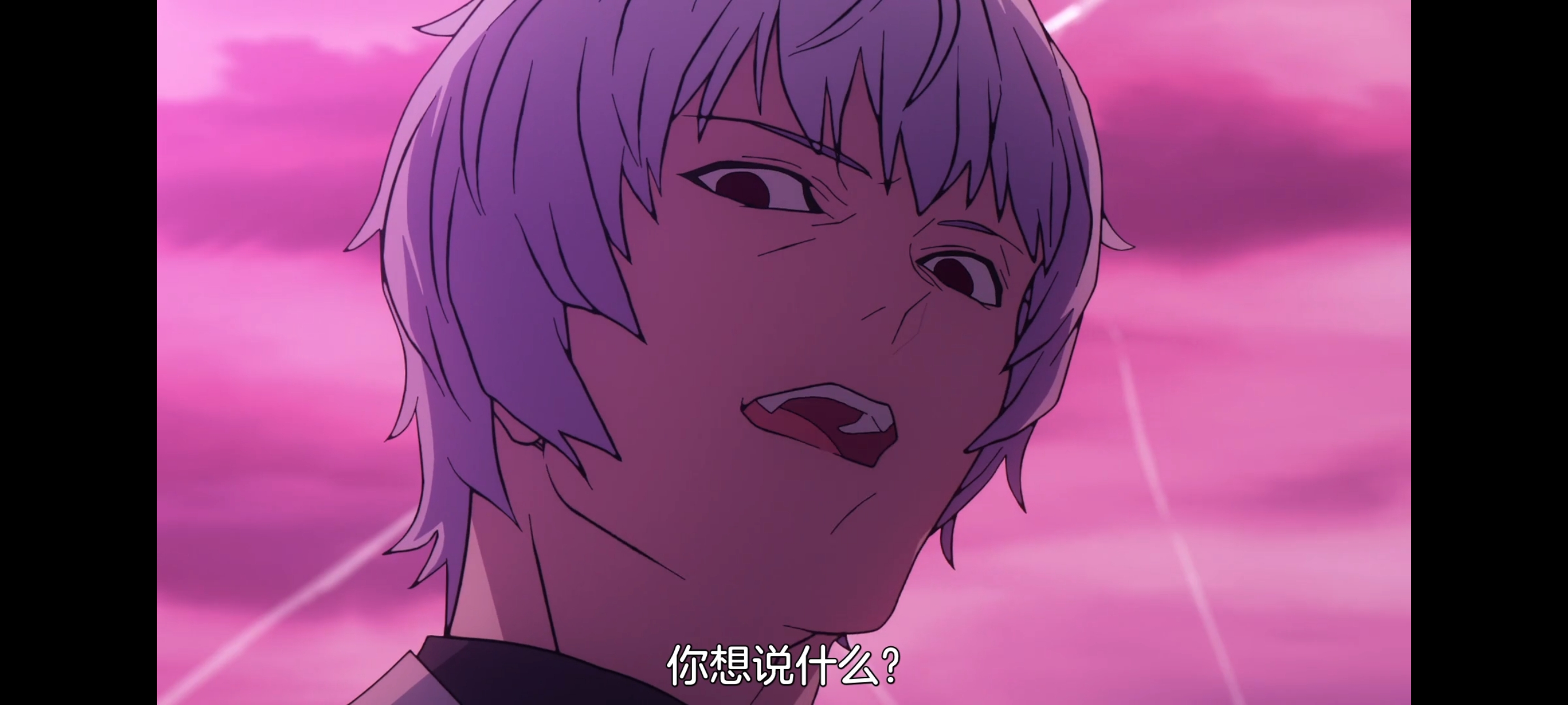 FATE,命运奇异赝品,FatestrangeFake,动画,动漫,番剧,二次元,ACG