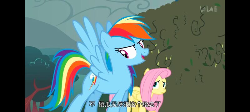 小马宝莉,小马宝莉友谊魔法,彩虹小马,我的小马驹,动画,动漫,番剧,ACG