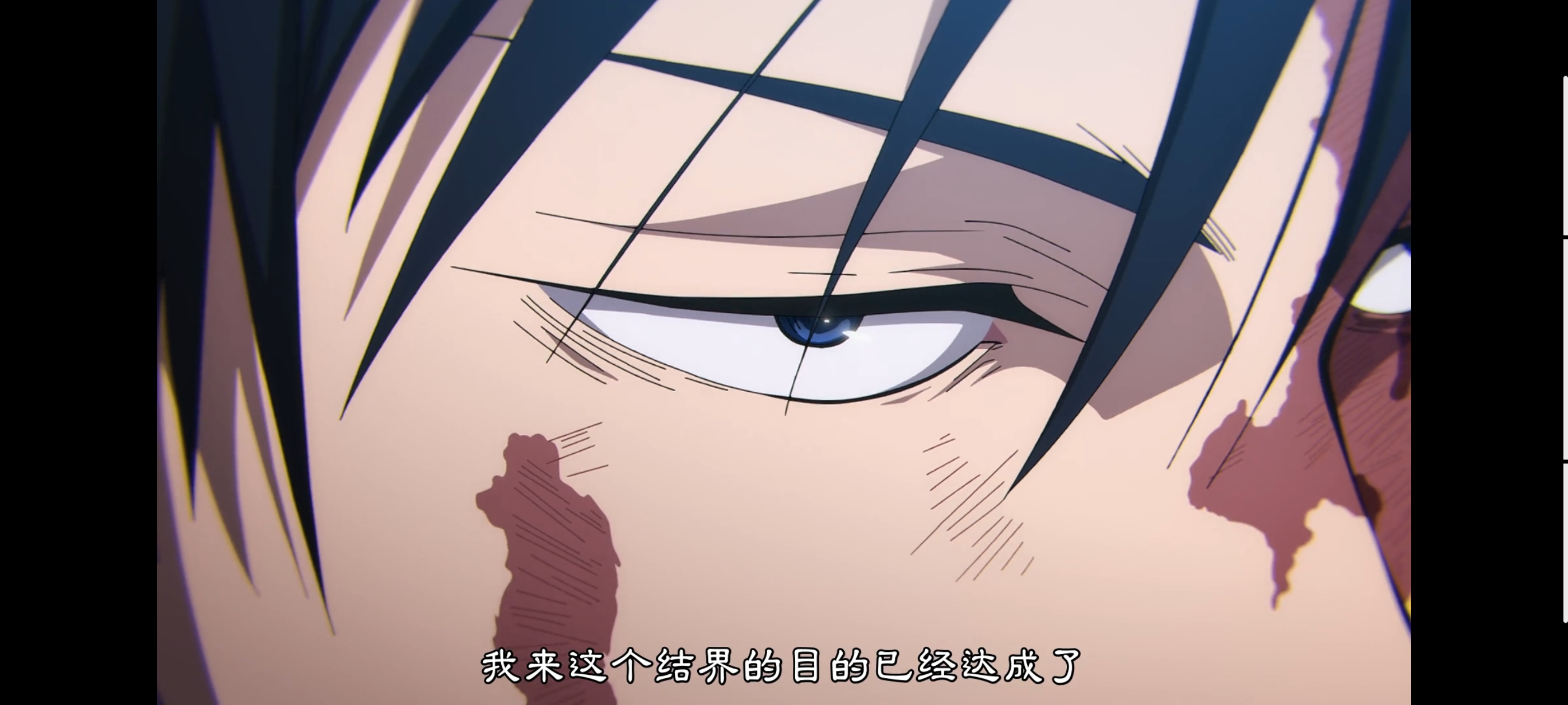 咒术回战,咒术回战死灭回游,动画,动漫,番剧,二次元,ACG