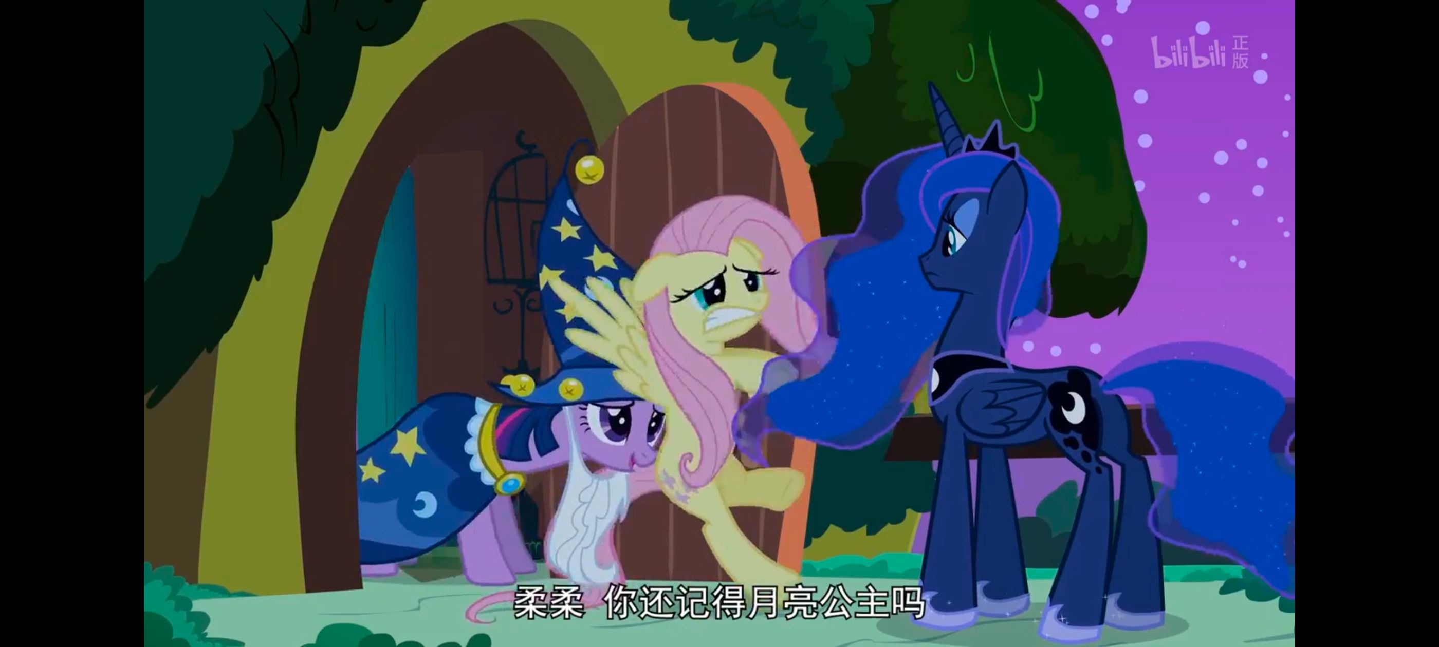 小马宝莉,小马宝莉友谊魔法,彩虹小马,我的小马驹,动漫,动画,番剧,ACG