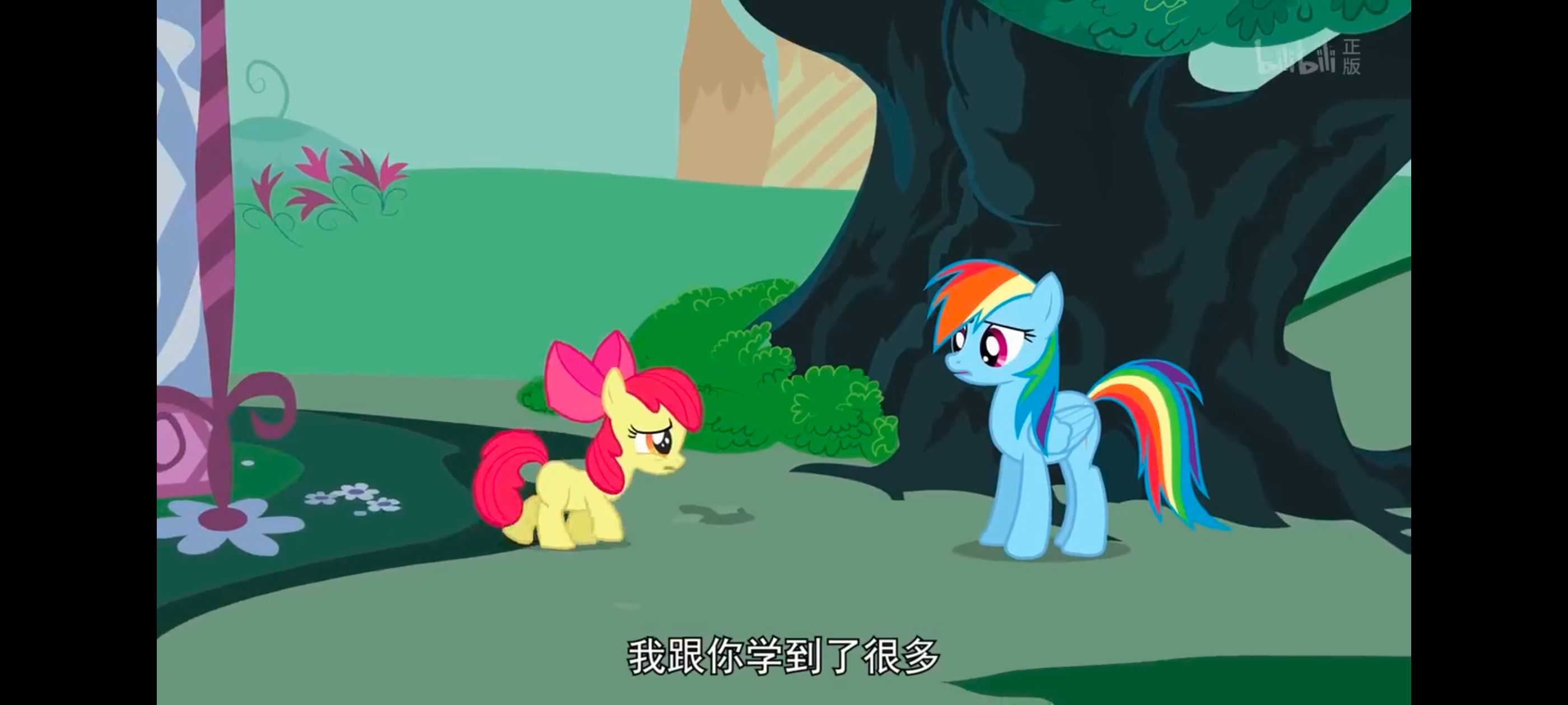 小马宝莉,小马宝莉友谊魔法,彩虹小马,我的小马驹,动画,动漫,番剧,ACG