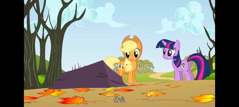 小马宝莉,小马宝莉友谊魔法,彩虹小马,我的小马驹,动画,动漫,番剧,ACG