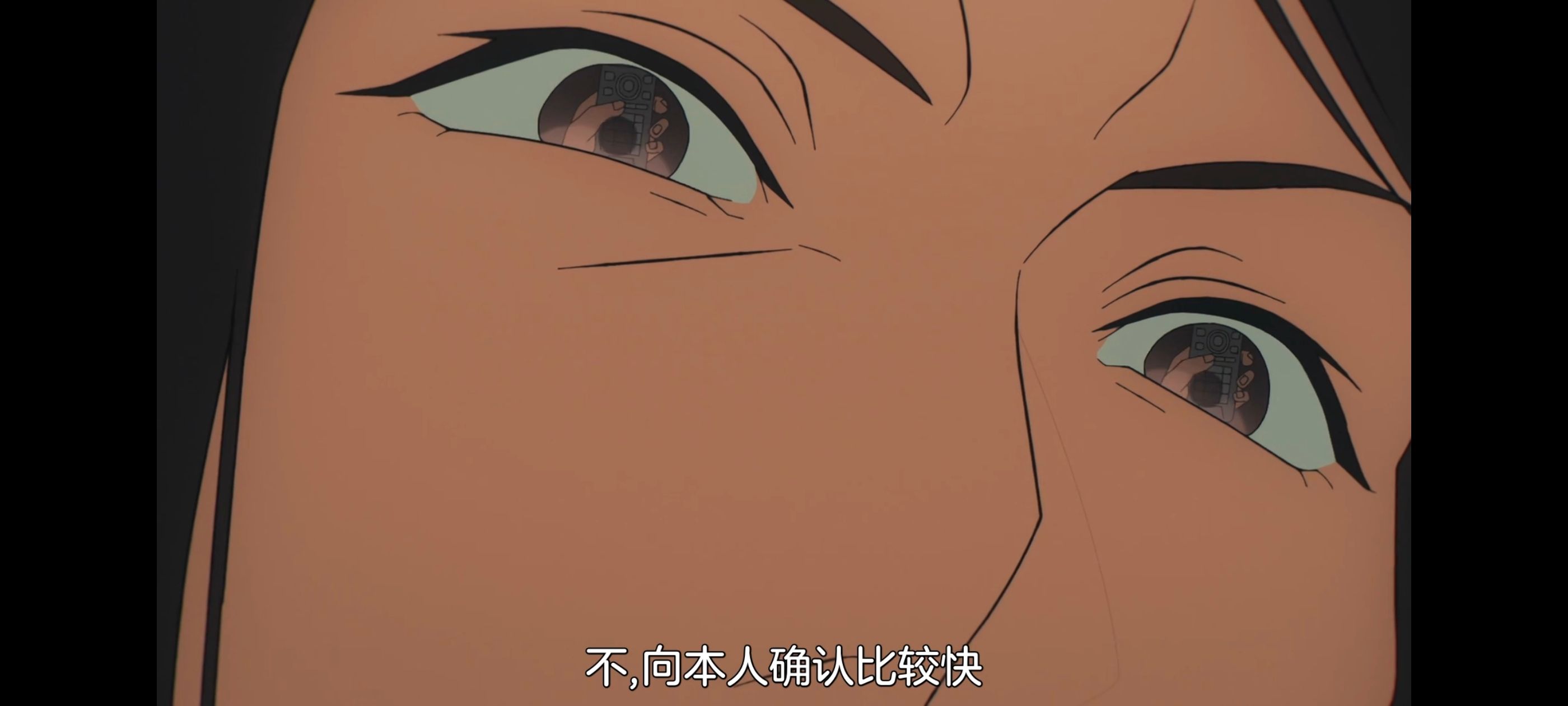 命运奇异赝品,FatestrangeFake,动画,动漫,番剧,ACG