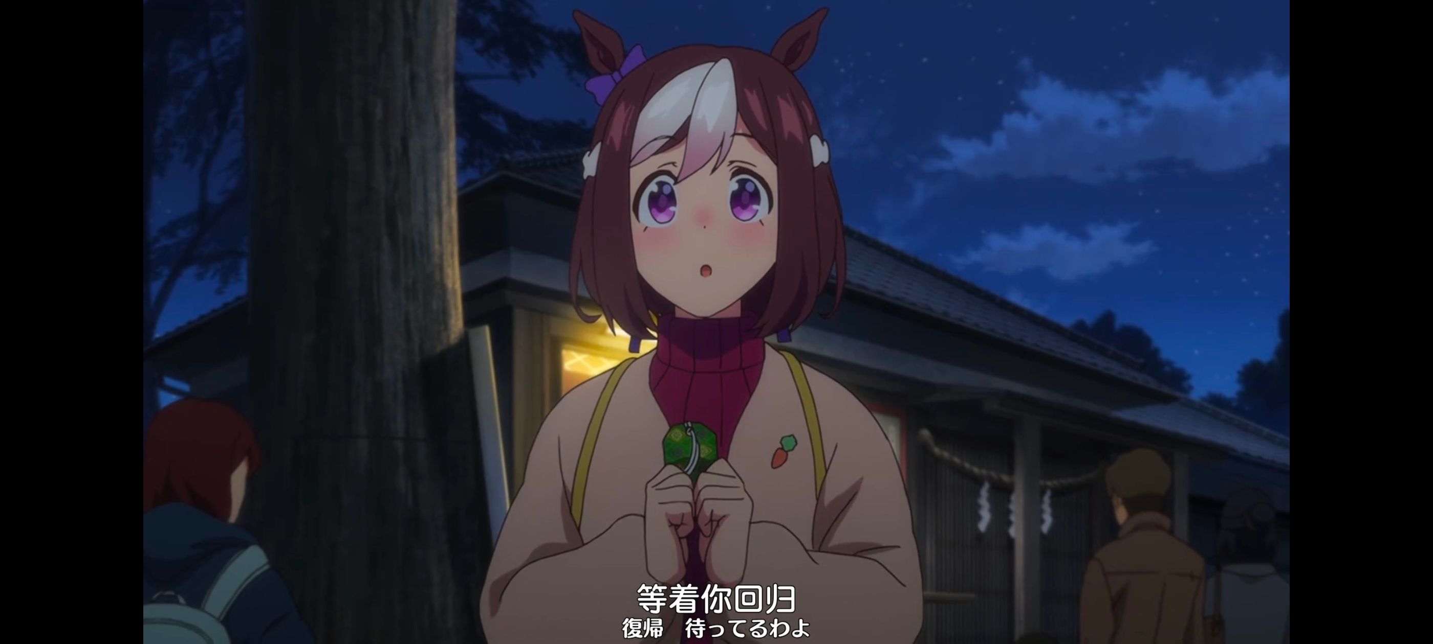 赛马娘,赛马娘PrettyDreby,动画,动漫,番剧,ACG