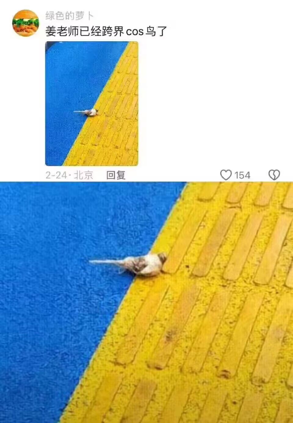 /static/d7f512bea9a4c4dc409b510b844d45845ccec0a6e031d95600c0d0b66a3e0431.jpg