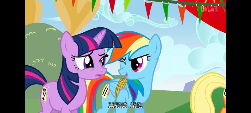 小马宝莉,小马宝莉友谊魔法,彩虹小马,我的小马驹,动画,动漫,番剧,ACG