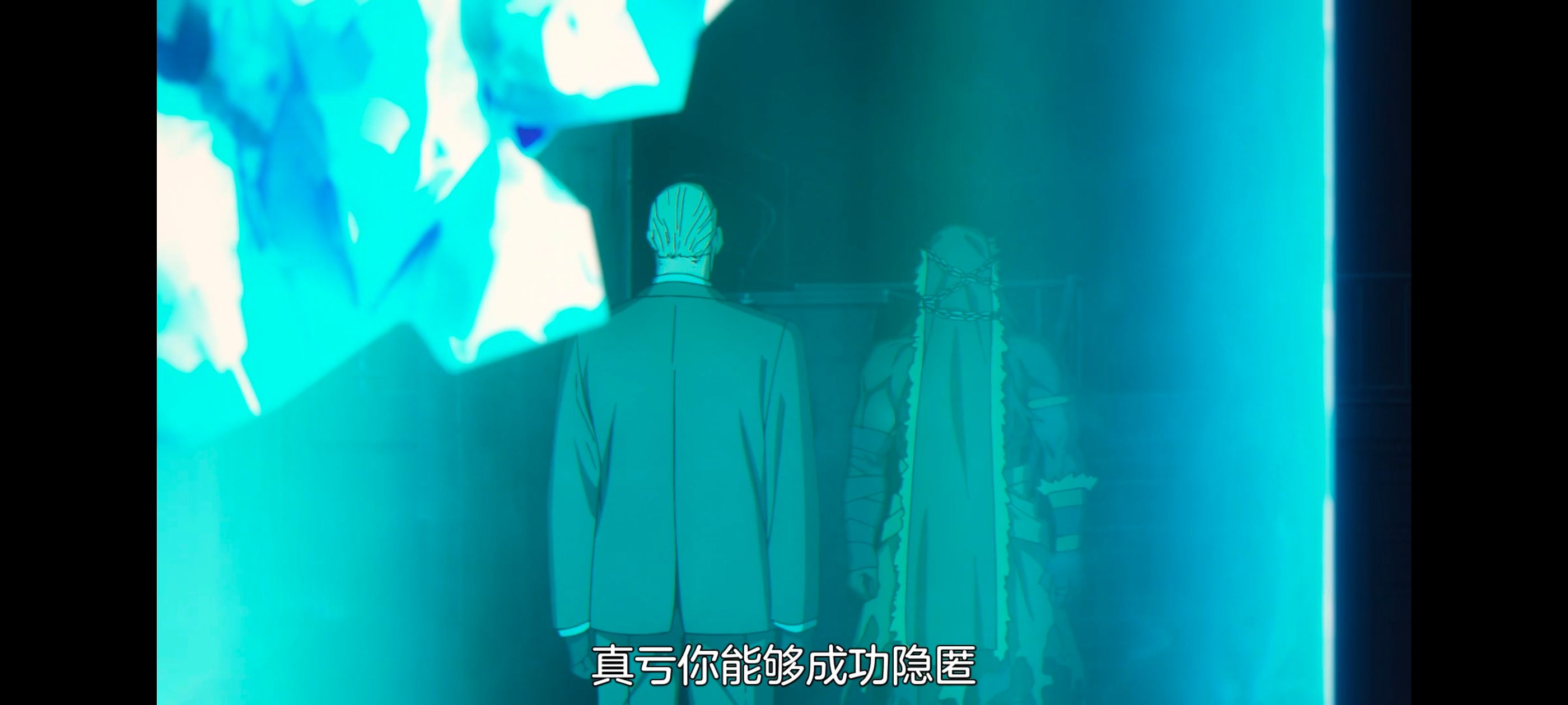 命运奇异赝品,FatestrangeFake,动画,动漫,番剧,ACG