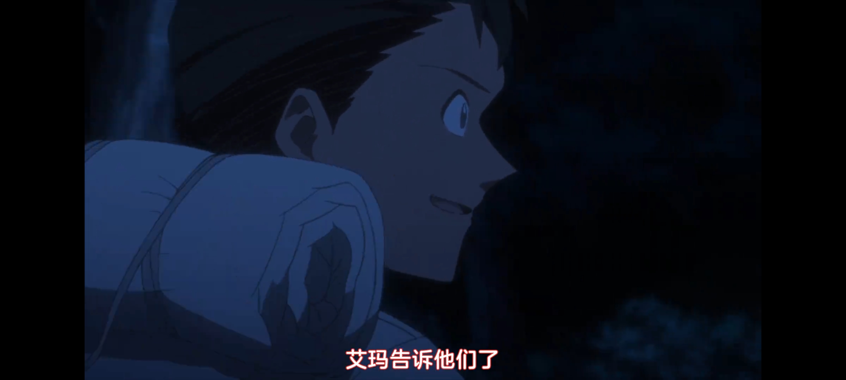 约定的梦幻岛,动画,动漫,番剧,二次元,ACG