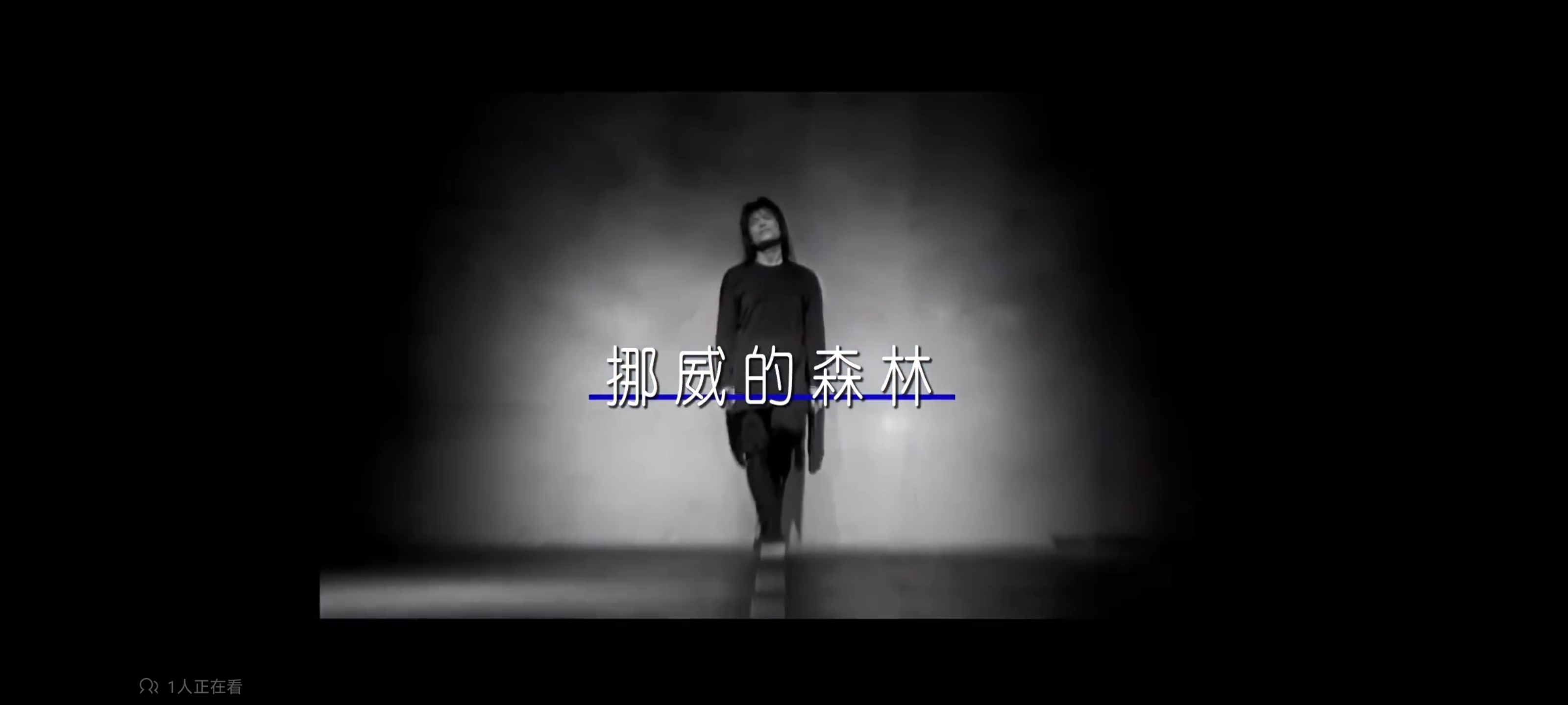 音乐,歌曲,歌手,最喜欢