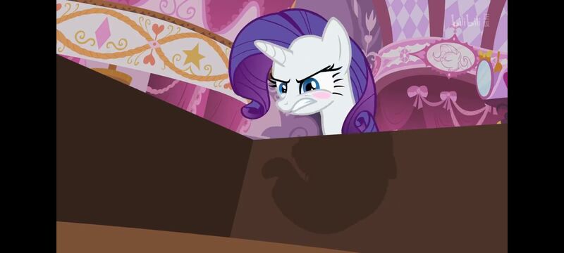 小马宝莉,小马宝莉友谊魔法,彩虹小马,我的小马驹,动画,动漫,番剧,ACG