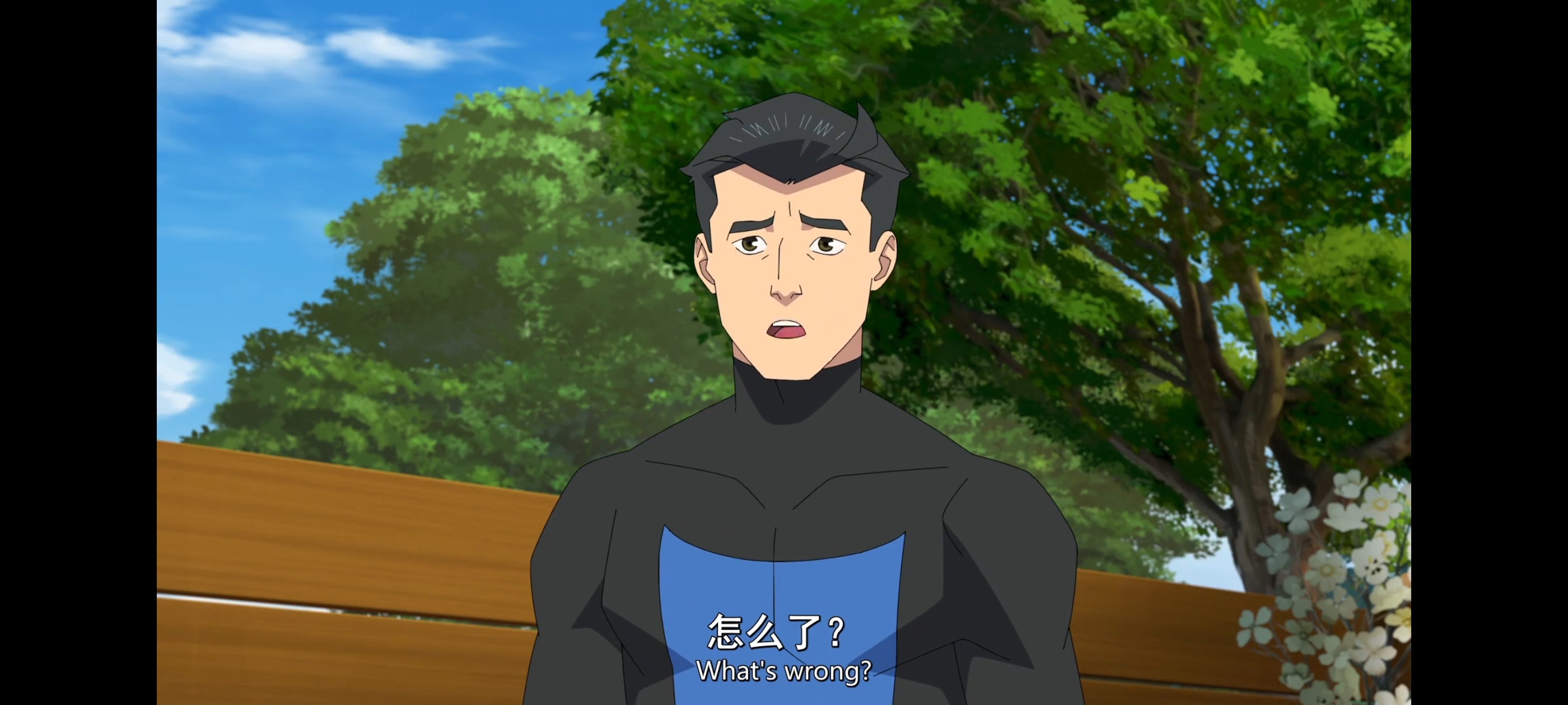 无敌少侠,动画,动漫,image,番剧,ACG