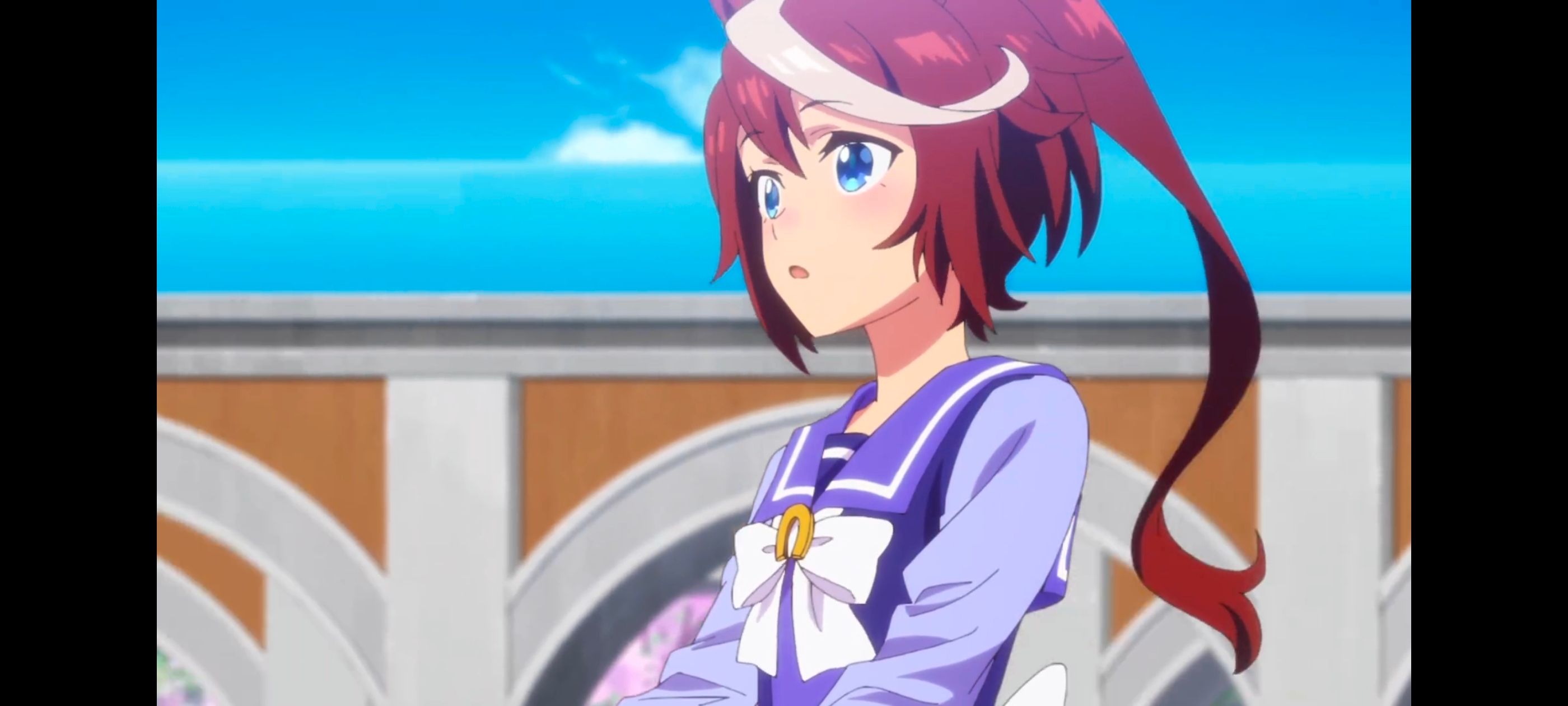 赛马娘,赛马娘第二季,动画,动漫,番剧,二次元,ACG,赛马娘PrettyDerby