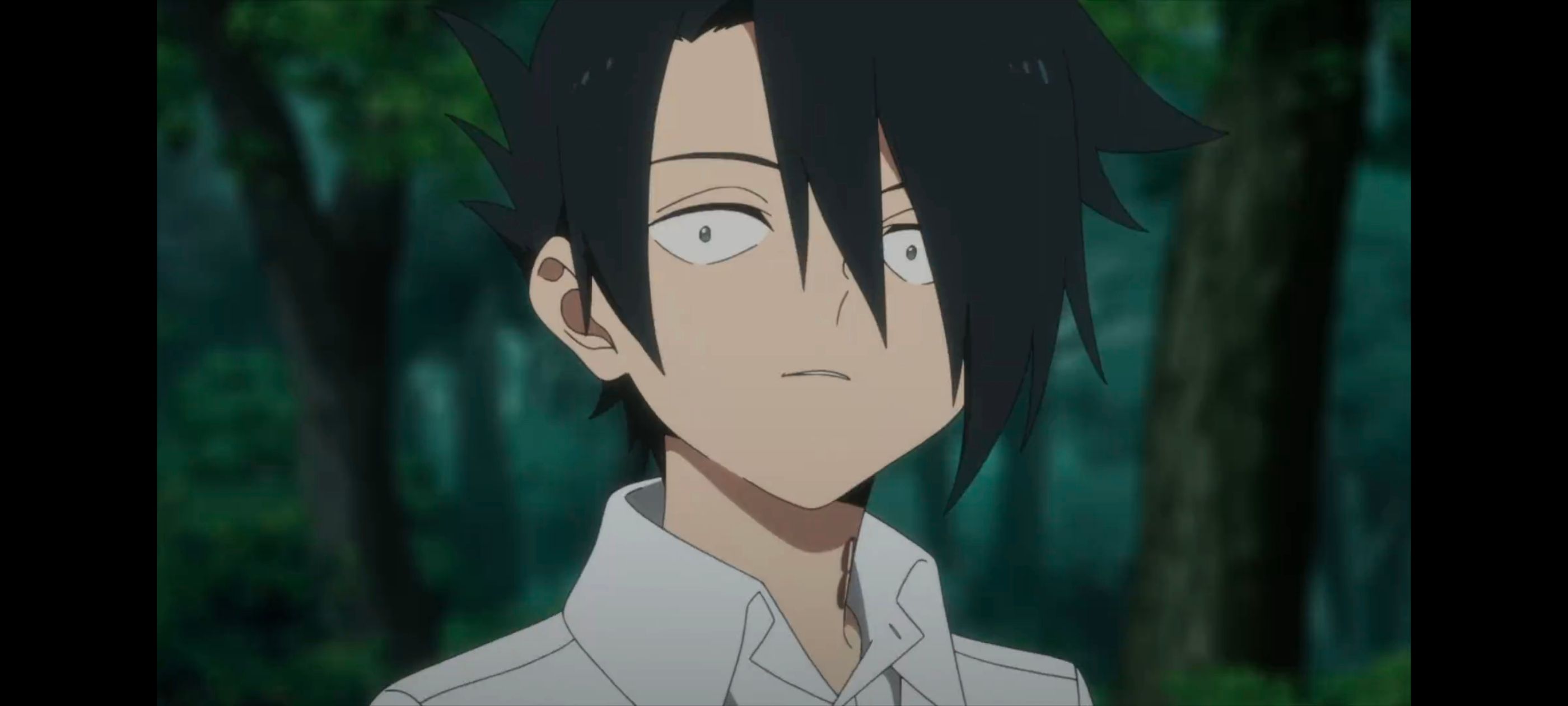 约定的梦幻岛,动画,动漫,番剧,ACG