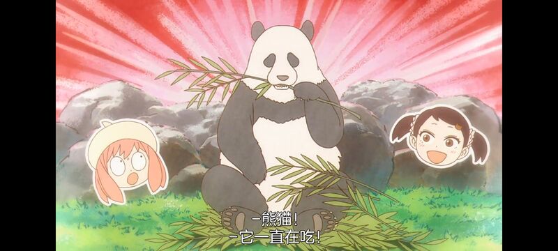 间谍过家家,SPYFAMILY,动画,动漫,番剧,ACG