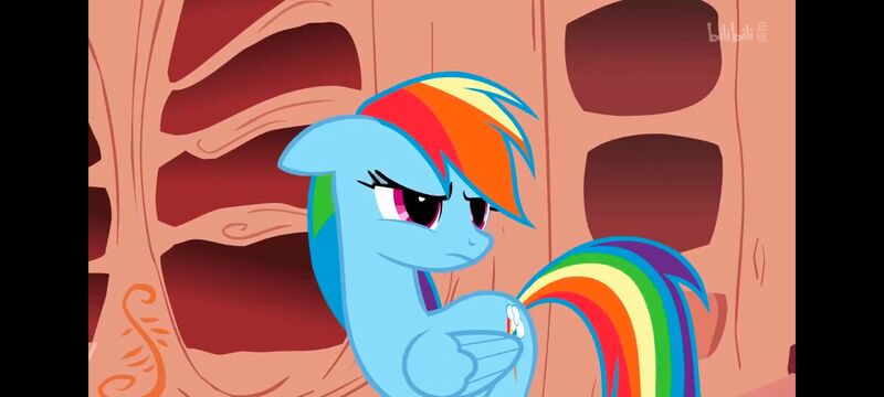 小马宝莉,小马宝莉友谊魔法,彩虹小马,我的小马驹,动画,动漫,番剧,ACG